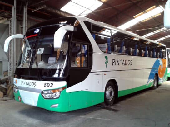 Pintados Bus