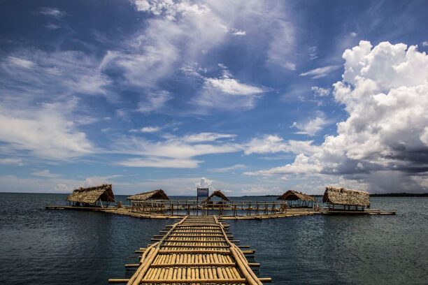 Montenegro Lines | Masbate to Pilar