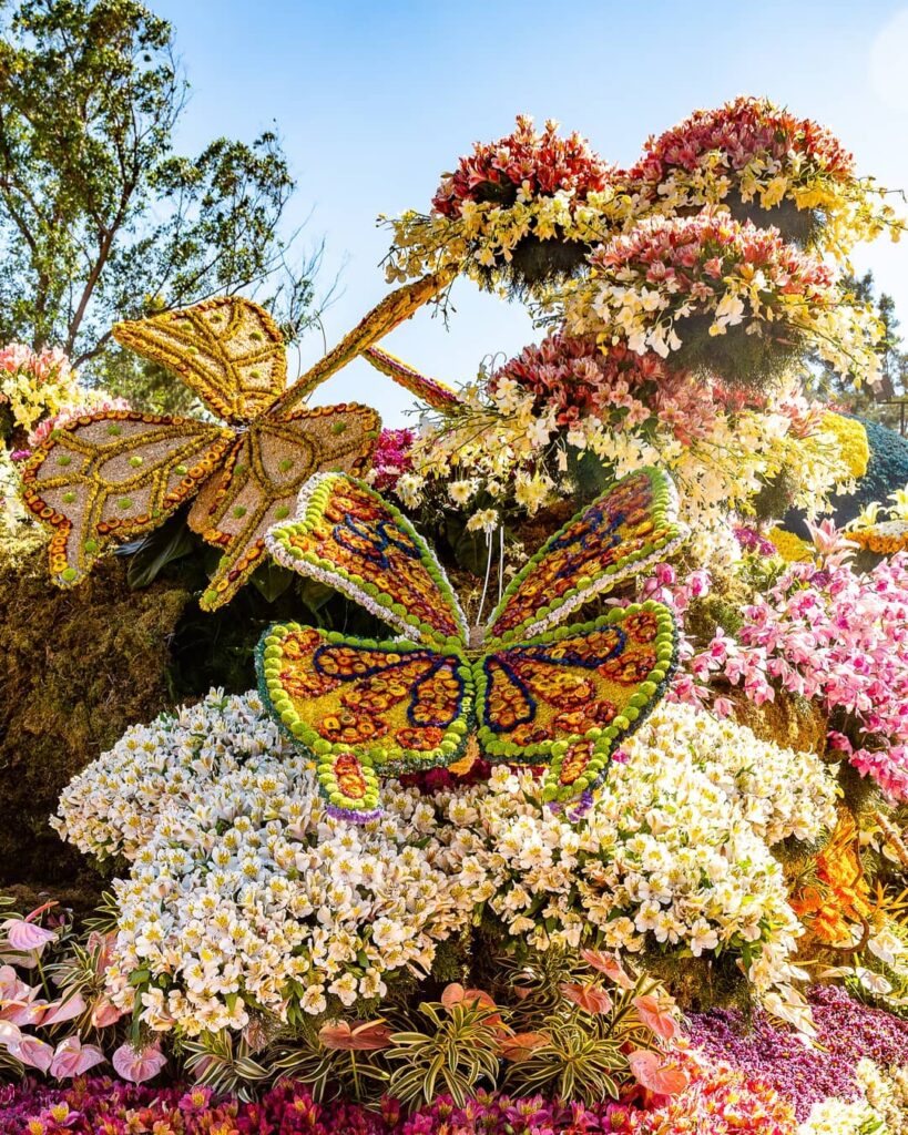 Baguio’s Panagbenga Festival