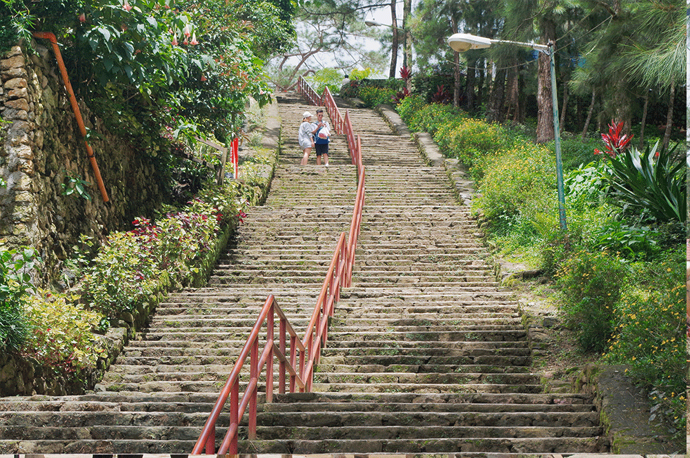 wright-park-stairs