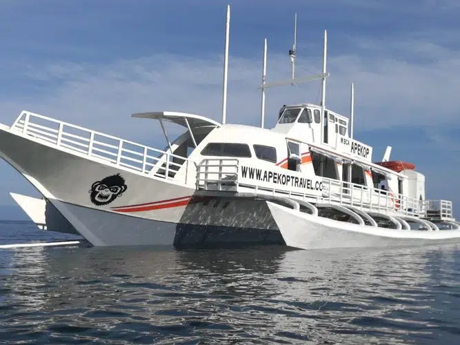 apekop-travel-panglao-oslob-boat