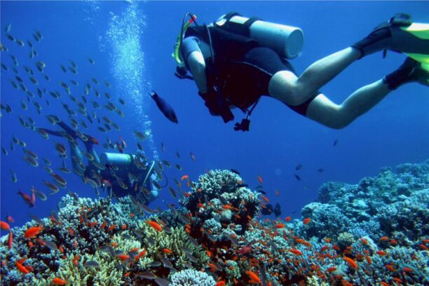Best Dive Spots and Diving Centers in Coron