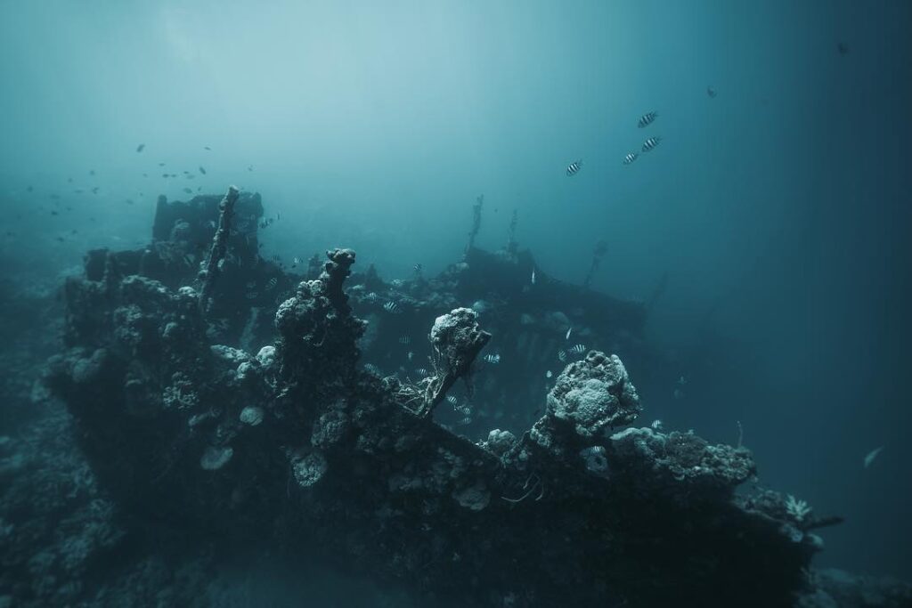 coron-skeleton-wreck