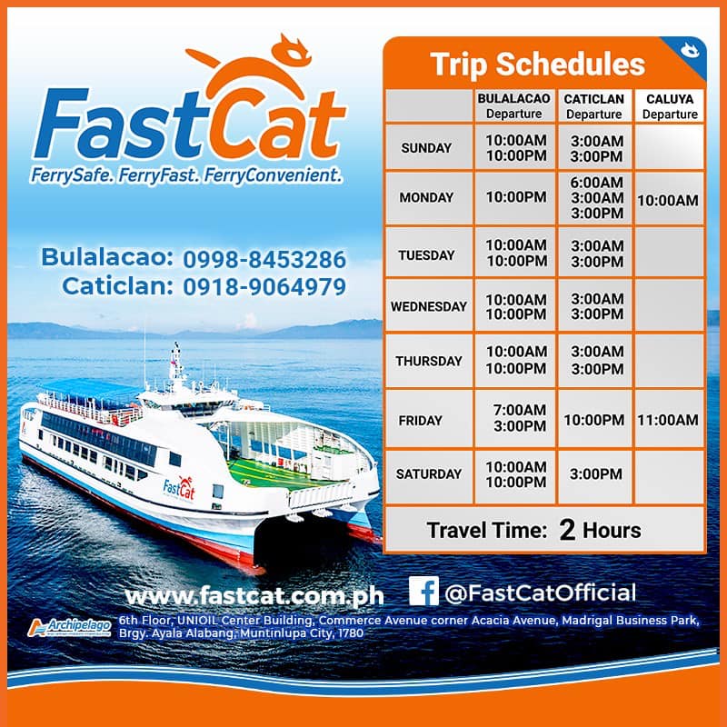 fast-cat-resumption-trips