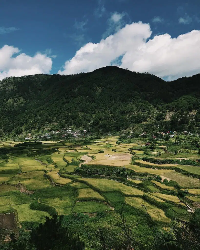 kapayaw-rice-terraces-phbus