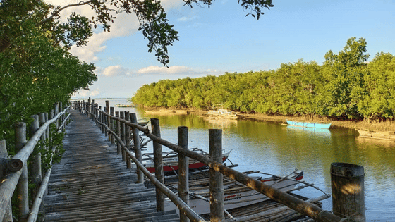 Cebu to Tubigon Ferry Guide & Schedule 2023