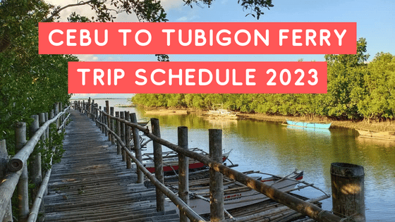 trip schedule cebu to tubigon