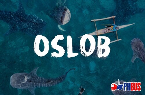 Dapitan to Oslob Ferry